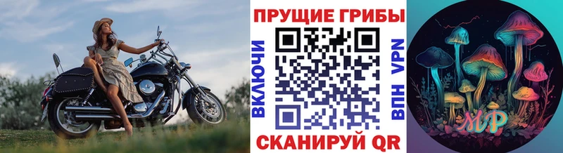 omg онион  где продают   Емва  Псилоцибиновые грибы MAGIC MUSHROOMS 