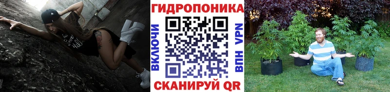 Каннабис MAZAR  KRAKEN зеркало  Емва 